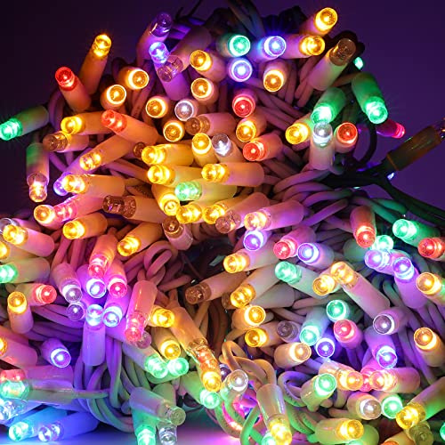 Luccika, Stringa LED Professionale MaxiLed 8mm con Flash, Catena Luminosa Multicolore per Grandi Installazioni (Multicolore, 30 Metri, 300 LED)