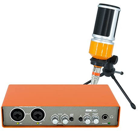 Eighosee Professional Microphone Audio Interface Recording Sound Card Electric Guitar Mixer Professional Mixing Console