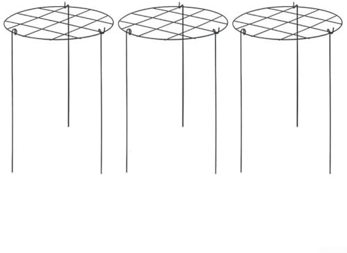 Lot de 3 cages de support pour plantes grimpantes en métal de 40 cm de haut pour pivoines, roses, tomates, hortensias, fraises (type grille)