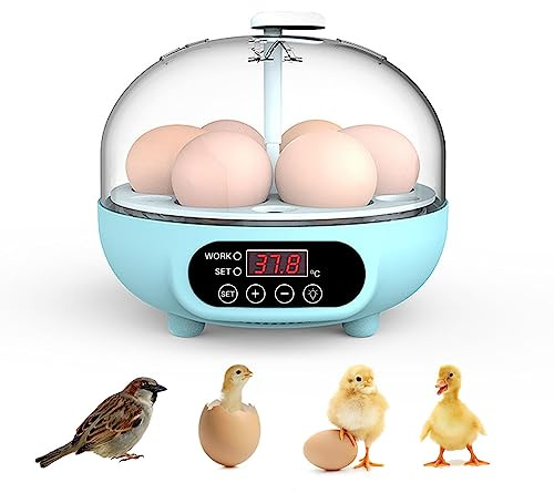 Egg Incubator, 6 Egg Poultry Incubator Digital Hatching Eggs with Fully Automatic Turner for Hatching Chicken Duck Quail Pigeon Bird
