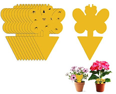 Fruchtfliege Klebstofffalle, 48pcs Pilz Gnat -Fallen Insektenfalle, gelbe Aufkleber -Schutzanlage für Küche Innen im Freien im Freien weiße Fliegen Mückenpilz Fliegende (Biene Nr. 1)