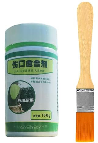 Scellant pour les arbres - Mastic à action rapide - Traitement des branches - Gel de traitement des branches - Accessoire de jardinage - Solution d'entretien des arbres - Revêtement anti-coupures