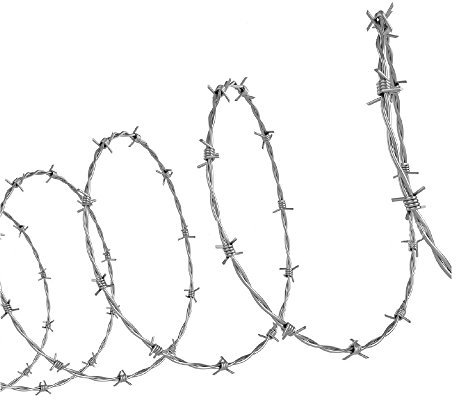 S.I.B. Alambre de Espino - 1.7mm - Plateado - 100m - 4-17-15