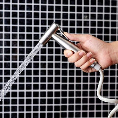 Pulvérisateur de bidet portatif pour toilettes, double pulvérisation en alliage de zinc avec angles réglables, débit d'eau haute pression, nettoyeur mural (argent)