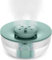 Canareen Humidificador de 1,2 L para Dormitorio Humidificador de Aire Fresco Dormitorio con Luz Nocturna Fácil de Limpiar Humidificador para Oficina Bebé Planta