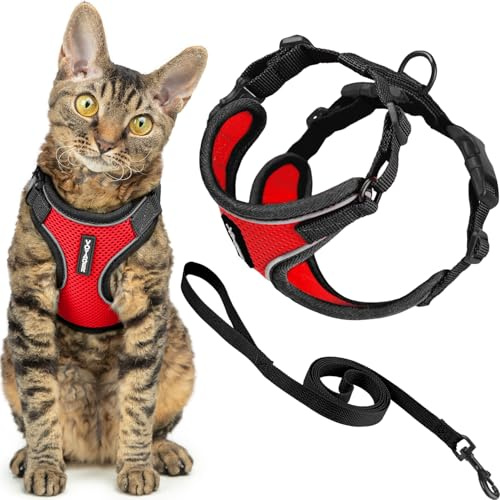 Voyager - Set di pettorina e guinzaglio per gatti a prova di fuga con cuciture riflettenti, manico in neoprene da 1,5 m, supporta gatti piccoli, medi e grandi, gattini da passeggio, by Best Pet