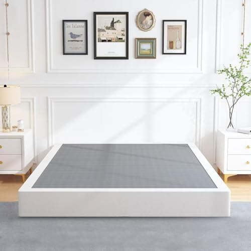 ALDRICH Queen Box Springs 9 Inch Heavy Duty Metal Box Spring Mattress Foundation 3000lbs Max Weight Capacity/Non-Slip/No Noise/Easy Assembly/Easy Clean Cover