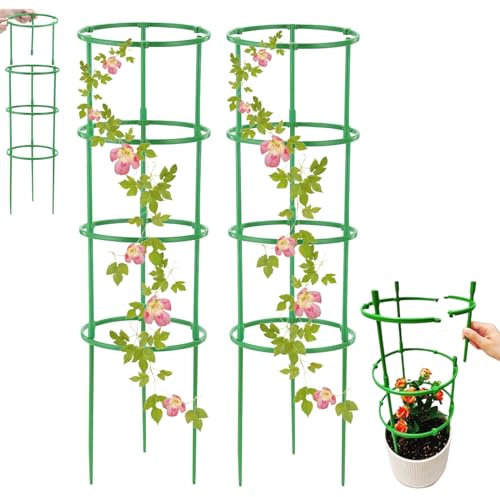 support plante grimpante,tuteur tomate 200 cm,tuteur rond,kit palissage plantes grimpantes,support rosier grimpant exterieur,tuteur hortensia,fraisier grimpant a planter,support de tige de plante