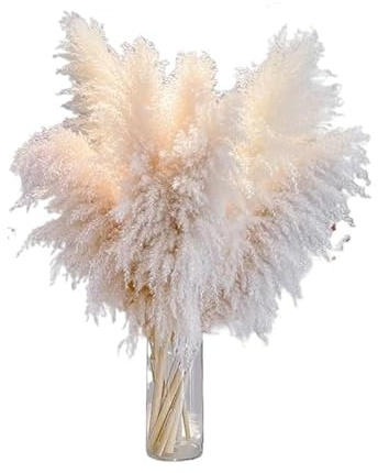 Dekorativa Pampas 120 cm Large Pampas Grass Naturliga Borrade Blommor För Bröllopsdekoration Heminredning Festdekoration Grönt Vardagsrum Konstgjorda Pampasgräs