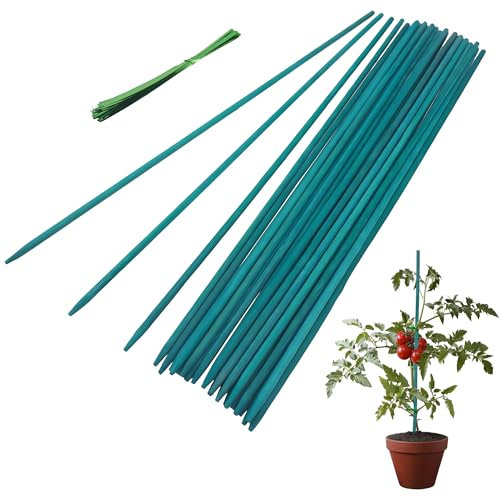 Garden Stakes, 30cm Bamboo Sticks Plant Support Sticks with Twist Ties, Green Plant Stakes for Garden or Home Floral Picks Gardening Tripods Makin (30CM 30PCS)