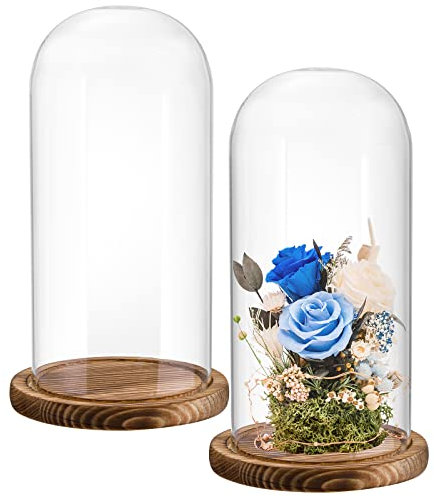 Mezchi 2 Stück Glasglocken-Displaykuppel, dekorative Glasglocke, klare Glaskuppel, Vitrine mit dunkelbraunem Holzsockel, für Pflanzen, Medaillen, Fotos, antike Sammlerstücke, Spielzeug, 25 x 12 cm