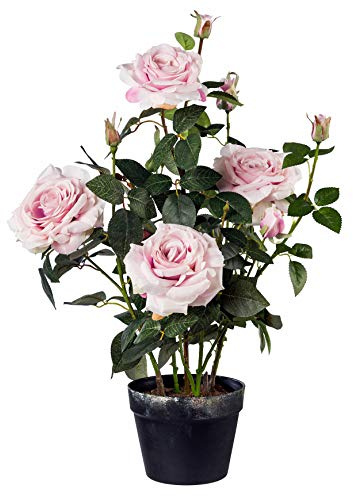 Gasper Konstgjord växt rosenstock i plastkruka, färg: Rosa, höjd: 68 cm, 3019010-10