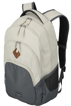 Travelite Basic - Mochila de mano para ordenador portátil, 15,6 pulgadas, mochila con muchos compartimentos + función de fijación, 45 cm, 22 litros