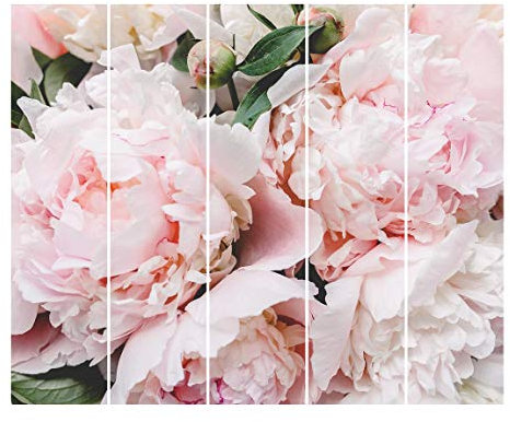 Bilderwelten Schiebegardinen Set - Pfingstrosen Hellrosa - mit Deckenhalterung 250 x 300cm