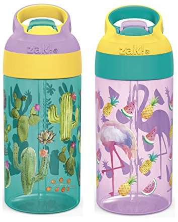Zak Designs 16oz Riverside Desert Life Kids Water Bottle with Straw and Built in Carrying Loop Made of Durable Plastic, Leak-Proof Design for Travel, 2PK Set
