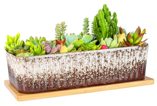 ARTKETTY Succulent Plant Pot - 30.5 CM Large Window Sill Planter with Drainage Tray, Long Rectangle Ceramic Pots for Indoor Cactus Plants Shallow Bonsai Window Box for Home