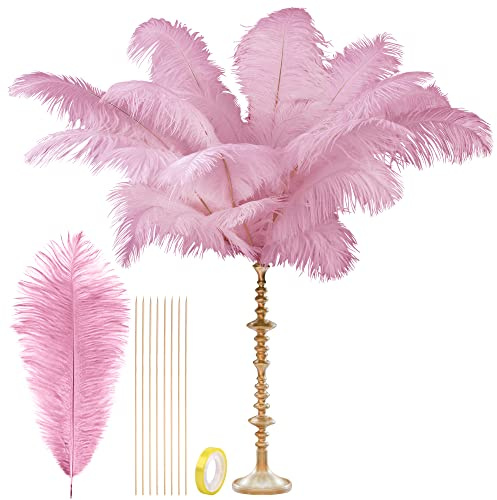 CROWN GUIDE Black Ostrich Feathers Bulk - 10 Pieces Making Kit 28 Inch Long Large Feathers for Crafts Vase Centerpieces Feather Lamp Wedding Party Pack Flower Arrangement Home Decoration, Pink