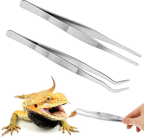 WHYCNJL 2 Piezas 30cm Pinzas de Alimentación, Pinzas Extralargas de Acero Inoxidable para Alimentación de Reptiles, Pinzas de Acuario, Pinzas Largas Rectas y Curvas, Herramienta de Alimentación