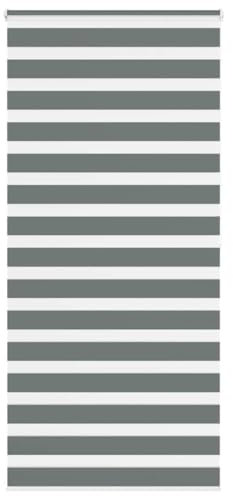 vidaXL Zebrarollo Dunkelgrau 100x200 cm Stoffbreite 95,9 cm Polyester, Zebra-Rollo, Doppelrollo, Zebra-Jalousie für Fenster, Doppelrollo, Zebra-Rollo