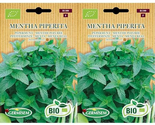 Germisem Biologico Mentha Piperita Semi di Menta Piperita 3 g (Confezione da 2)