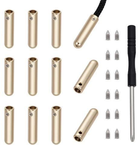 NBEADS 12 set skosnöre spetsar med skruvar och skruvmejsel, 4 mm platina runt huvud legering metall aglet sko spetsändar lock för gör-det-själv-reparation och designtillverkning, 25 x 6 mm