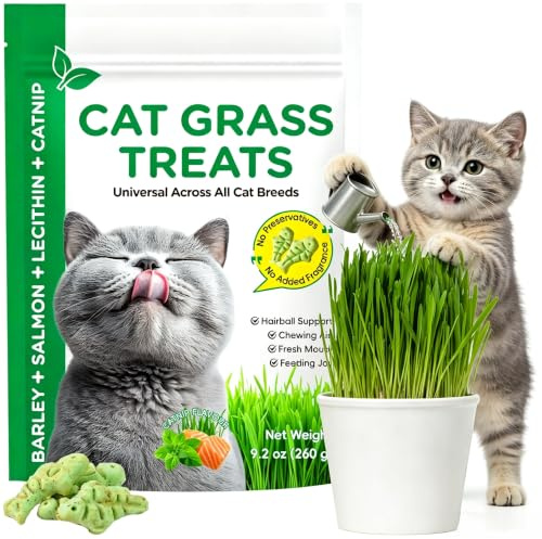 Golosinas saludables para gatos de apartamento, antibolas de pelo y ayuda a la digestión, aperitivos para gatitos, galletas de entrenamiento, hierba gatera, cuidado dental (9,2 oz)