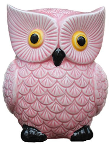 ZCHING Cute Owl Ceramic Piggy Bank Personalized Money Saving Bank for Kids Girls Nursery Gift Decor