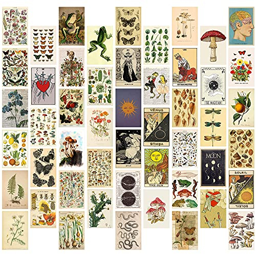 GROBRO7 50Pcs Vintage Botanical Wall Collage Kit, Aesthetic Picture Indie Room Decor, Art Posters for Dorm Wall Decor, Room Art Unique Display for VSCO Girls Boys Bedroom for Primitive Creature Lovers