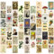 Kit di collage da parete botanico vintage da 50 pezzi, immagine estetica Indie Room Decor, poster artistico per la decorazione della parete del dormitorio, stampe artistiche da parete per VSCO