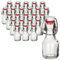 gouveo 24er Set Glasflaschen 60 ml rund mit Bügelverschluss - Mini Bügelflasche 0,06 l zum Befüllen - Mini-Flasche für Likör, Schnaps, Shots, Hochzeit-Dekoration (BFR060)