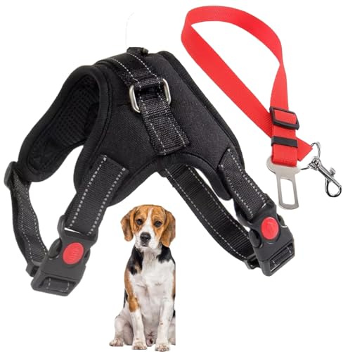 Arnés Ajustable para Perro Mediano con Correa de Seguridad para el Coche. Arnes Antitirones, Reforzado. Seguro y Cómodo. Ideales para tu Mascota. (Medium-R)