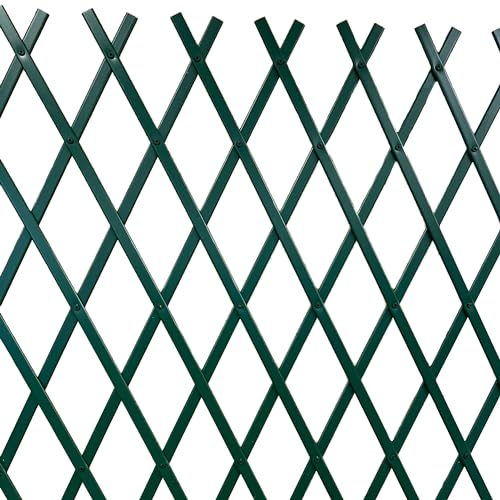 TENAX Treplas 100x200 cm Verde, Enrejado Extensible en PVC para la Sujeción de Plantas Trepadoras y Decorar Paredes, Balcones y Terrazas