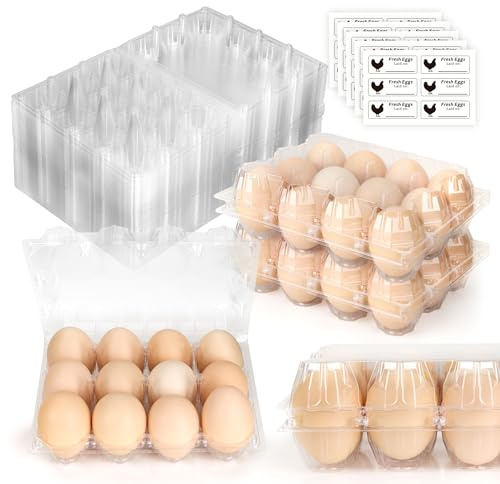 FARQAN Paquete de 100 cajas de huevos de plástico baratas a granel, 12 unidades, cajas de huevos transparentes en blanco de 3 x 4 rejillas, perfectas para refrigeradores, mercados de granja de pollos