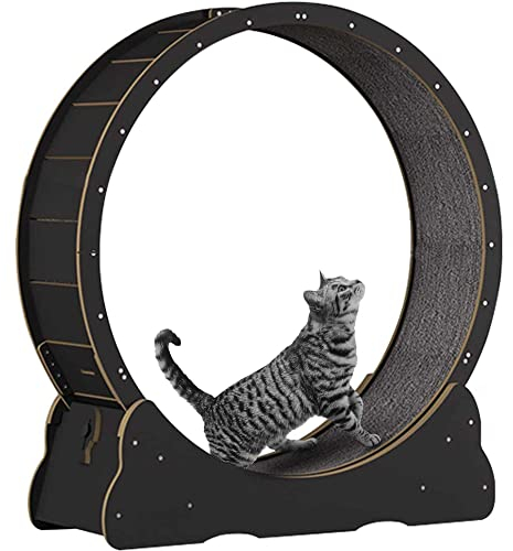 Katzenlaufrad Indoor Laufband, Durchmesser des Innenrings 109,2 cm großes Katzenlaufrad Katzenlaufband mit austauschbaren Griffpolstern, Verriegelungsmechanismus, TPE Leise und geräuschlose Rollen