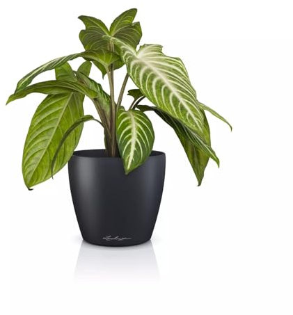 Lechuza Classico Color 14 Deco 16680 Pot de Table Gris Ardoise Mat Ø 15 x 13,5 cm