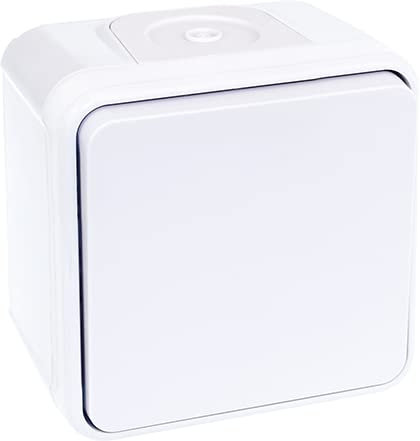Interrupteur Va-et-vient Oxxo - 1 poste - 10AX - 250V - Blanc