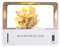 Crownow Mushroom Grow Box with Temperature and Humidity Display,Smart Mushroom Monotub Grow Kit,Indoor Mushroom Grow Tent with Grow light,Still Air Box for Indoor Mushroom Growers