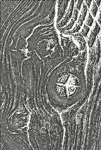 Sizzix 3-D Texture Fades Embossing Folder Woodgrain by Tim Holtz | 666297 | Scrapbooking, Cardmaking, Journalling