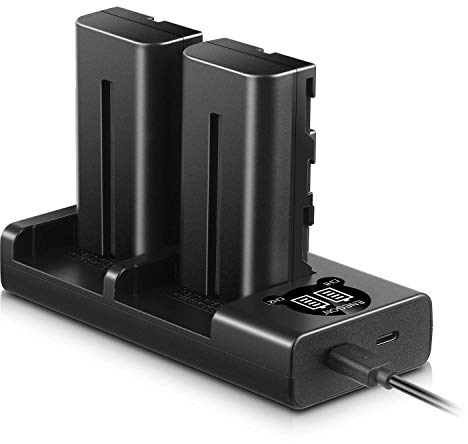 ENEGON NP-F550 Battery(2 * 2900 mAh) and LCD Rapid Charger for Sony NP-F970 NP-F750 NP-F770 NP-F960 NP-F550 NP-F530 NP-F570 CCD-SC55 TR516 TR716 TR818 TR910 TR917 CN160, CN-216 LED Light & More