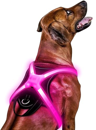 Light Up Dog Harness–Multicolor LED Dog Harness with 7 Lighting Modes | No Pull USB Rechargeable Safety Vest with Handle for Medium Large Dogs | Waterproof & Adjustable Glow-in-The-Dark Illuminated(L)