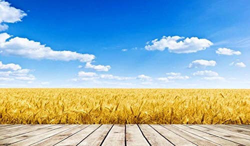 Papel Pintado Pared Campo De Trigo Dorado Con Cielo Azul Y Nubes Blancas Mural Infantil Fotomurales 3D Papel Tapiz Decorativos 400x280 cm