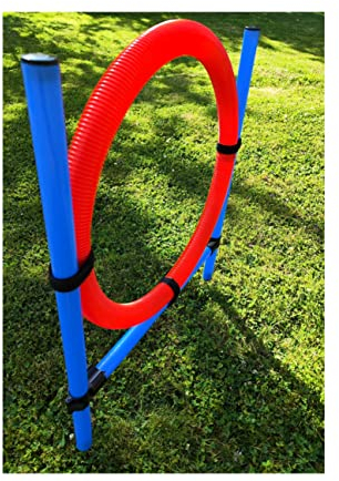 Hunde Agility Sprungring Set 1/2 / 4 Sets Tragetasche Hundesport Dog Activity Obstacle Pole Höhenverstellbar Hindernis Parcours Hundetraining Sprungstange Kunststoffstangen Erdspieß (1 Set)