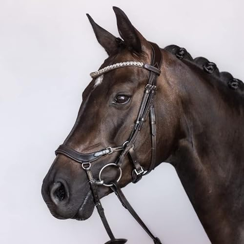 BRIDLERY Trense Outline Farbe Schwarz, Größe Warmblut