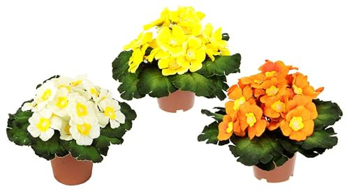 Künstlicher Primelbusch mit Blätter im Topf Primeln Pflanze Kunstblume Seidenblume Topfpflanze Zimmerpflanze Blume Primula Schlüsselblumen Kunstpflanzen Frühlingsblüher Frühling Frühjahr Deko