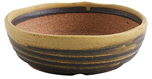 Wazakura Pot à Bonsaï en Céramique Émaillée à Rayures avec Trou à Drainage, Fabriqué au Japon Fait à la Main, Bol Jardinière pour Plantes et Fleurs Japonais, Sable Jaune 21 cm Shigaraki Series