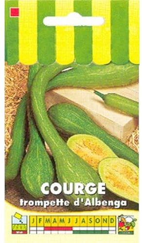 Sachet de graines de Courge Tromba d'Albenga - 3 g - légume fruit - LES GRAINES BOCQUET