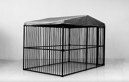 InTheMarket Gehege für Hühnerstall und Zwinger für den Außenbereich – legierter Stahl mit 32 mm Rohren – Dachabdeckung kostenlos – 2 x 3 m | 3 x 3 m | 4 x 3 m (4 x 3 m)