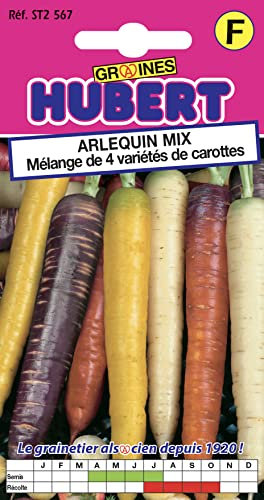 Graines de Carotte en Mélange de 4 Variétés Arlequin Mix - 1,5 grammes