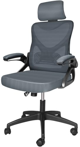 VOUNOT® Ergonomic Office Desk Chair, High Back Computer Chair, Executive Swivel with Adjustable Lumbar Support & Headrest for Home Office, Grey