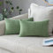 MIULEE Kissenbezug Kordsamt Zierkissenbezug Dekokissen Sofakissen Kord Kissenhülle Dekorative Weiche Zierkissenbezüge Kissen für Sofa Sessel Zuhause Schlafzimmer 30x50 cm Bohnengrün